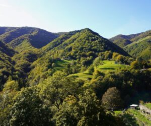 Yoga & Hike Pfingsten Tessin Retreat